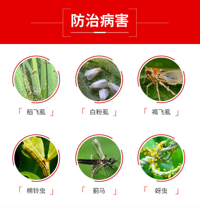 ���x�����ȷ�-�{(l��n)��Ʒ��_04