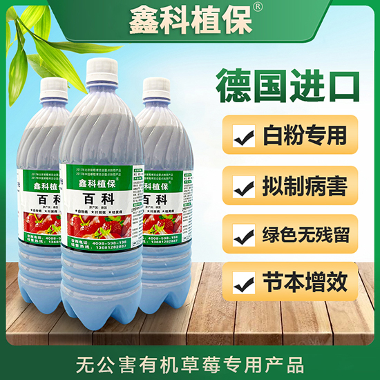 �ٿ�-�ο�ֲ��2