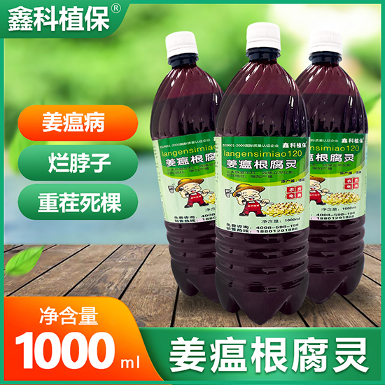 ���������`-�ο�ֲ��2