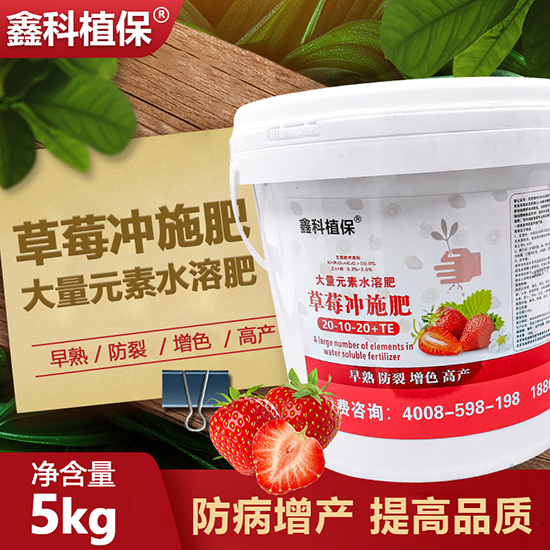 ��ݮ�_ʩ��20-10-20+TE-�ο�ֲ��2