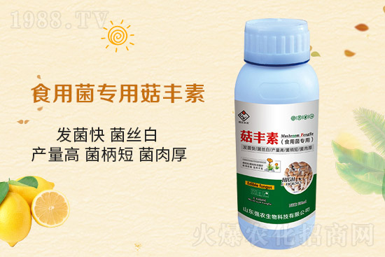 ƽ������Ҫ�c����Ҫע����Щ�����