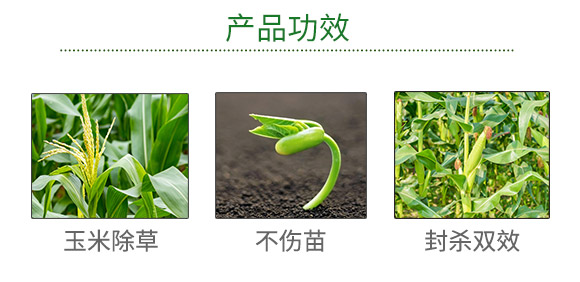 �ӱ������r�I(y��)�Ƽ����޹�˾910058_03