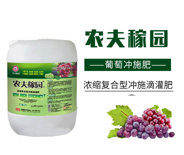 ���ћ_ʩ��-�r��ڈ@_02