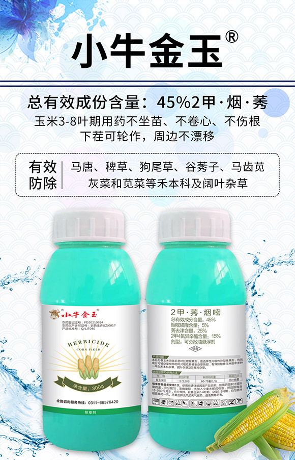 �ӱ������r�I(y��)�Ƽ����޹�˾910058_01