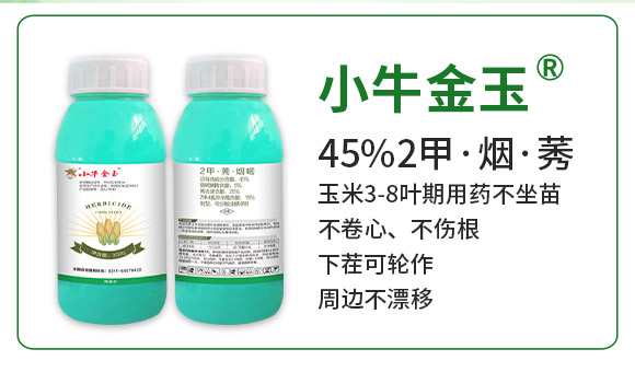 �ӱ������r�I(y��)�Ƽ����޹�˾910058_02