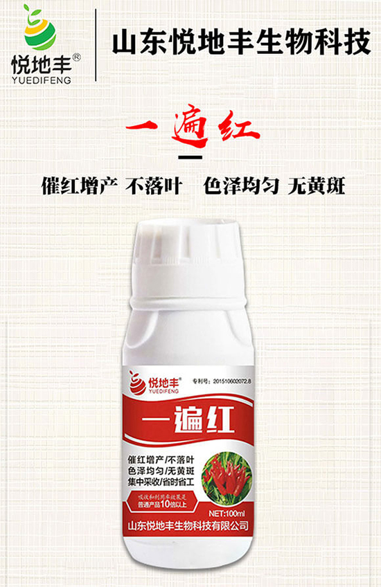 辣椒催紅措施怎么做？辣椒如何提前上市？辣椒催紅藥什么時(shí)候打好？