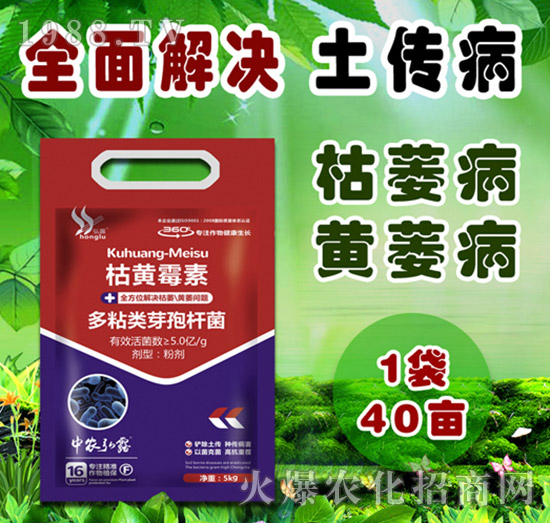     �����Բ�������Щ������ˎ����ô�x��һƪ�����f����