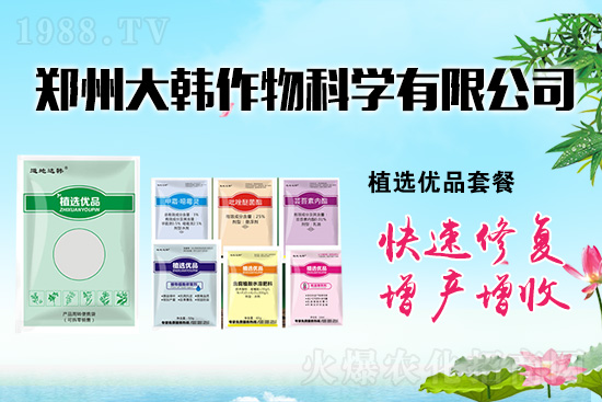 ����ˎ���ʺ��l�l(f��)��ô�k���l(f��)��ˎ���ʺ�����a(b��)����