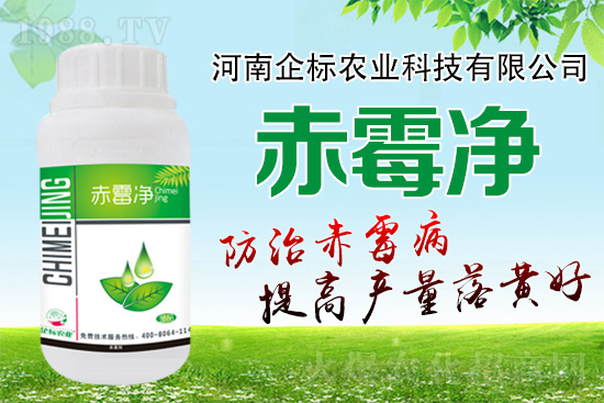 �o�����ѣ�δ��ʮ����С����ù�������P(gu��n)�I�����ձ�ץ����