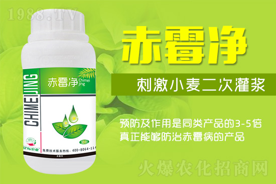 �o�����ѣ�δ��ʮ����С����ù�������P(gu��n)�I�����ձ�ץס��