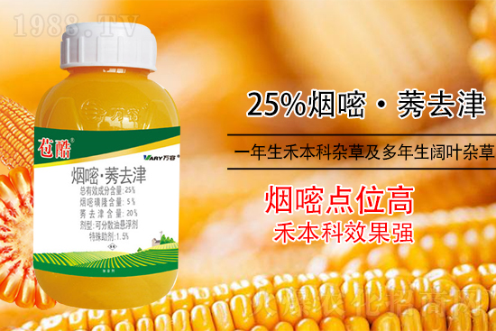 ���׳������e���@�׷N���݄���