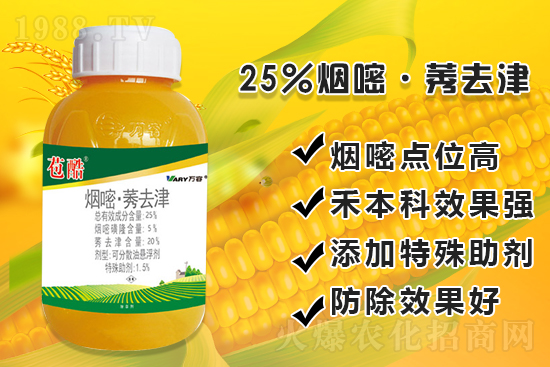 ���׳������e���@�׷N���݄���