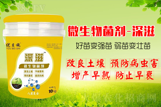 ������α��l(f��)ʽ�������������B(y��ng)���������(l��i)����