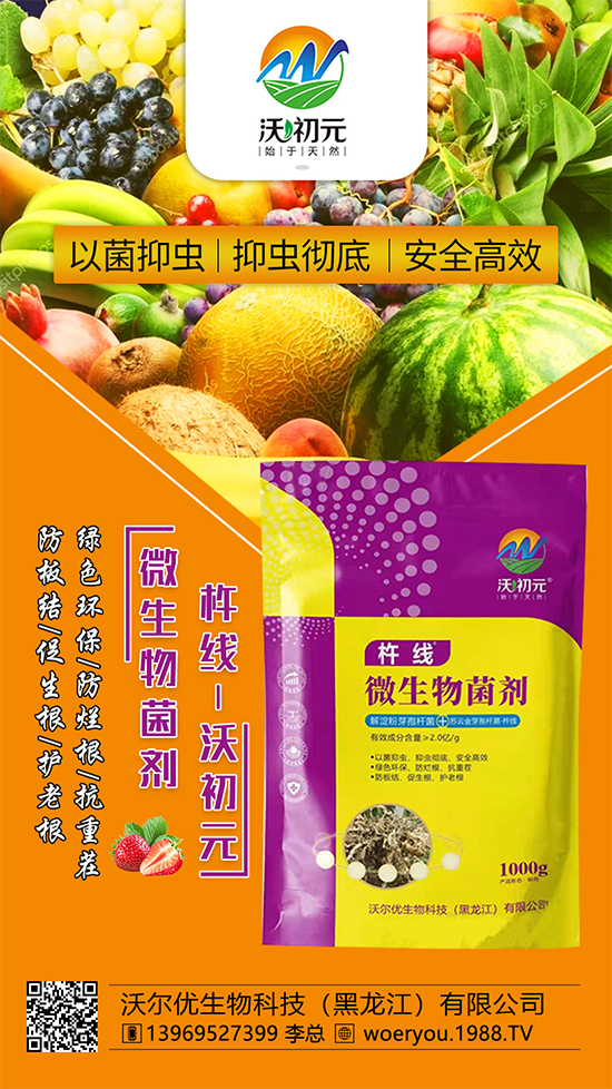 ����ĸ�ϵ���Q������Įa(ch��n)��