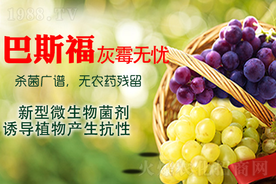 ���ѻ�ù��ԓ��ν�Q����ù����ˎ���h��