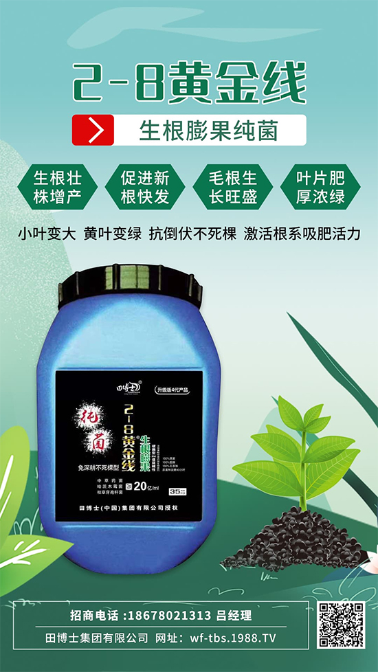 ���Ƿʵ������f�����L����ϵ�����ﱬ�l(f��)����ԇԇ�@һ��! 