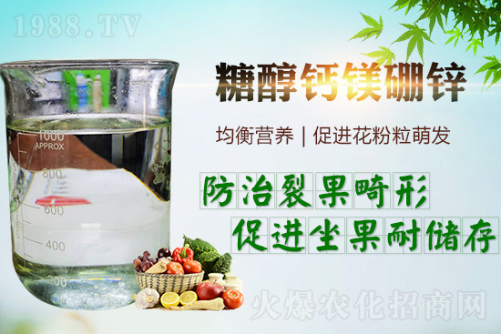     �����_���������ж���Ҫ���_�������ڵ����c��������