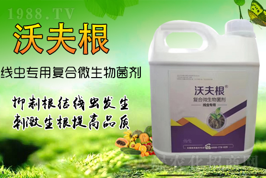 ���Y(ji��)���x��Ⱦ���������������У�������Ч����!