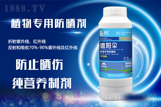 �ߜ������u������������E�[���쿴�������ˆ�? 