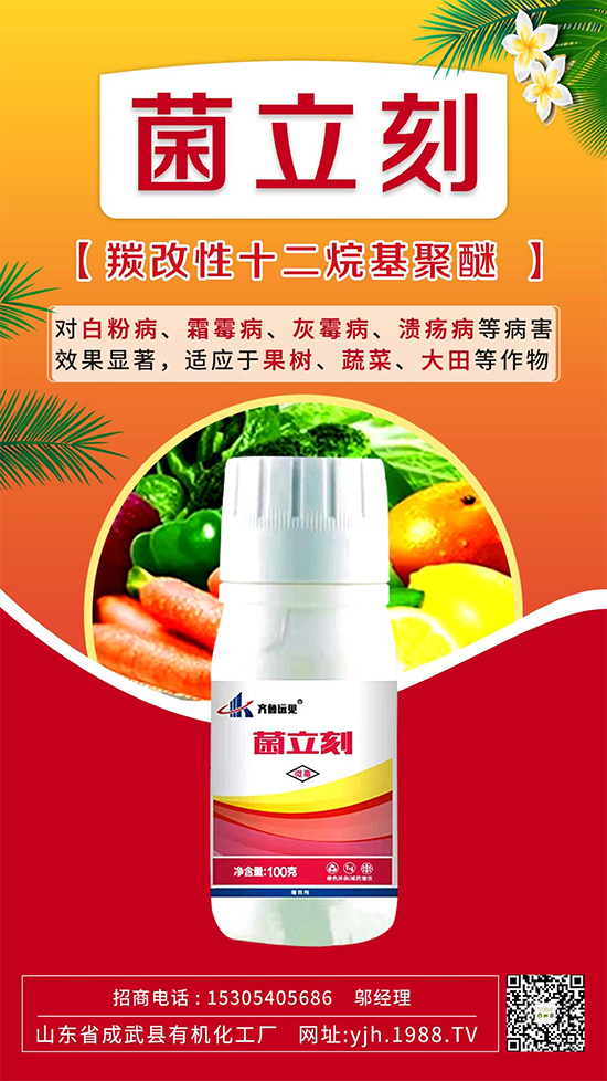 ����˪ù��߀�ǰ׷۲����e��ɵɵ�ֲ����ˣ���ηֱ漰������