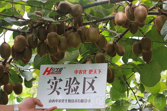 �J����������c(di��n)����Щ���J����������ôʩ