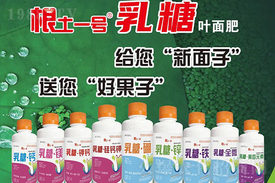 �J����������c(di��n)����Щ���J����������ôʩ