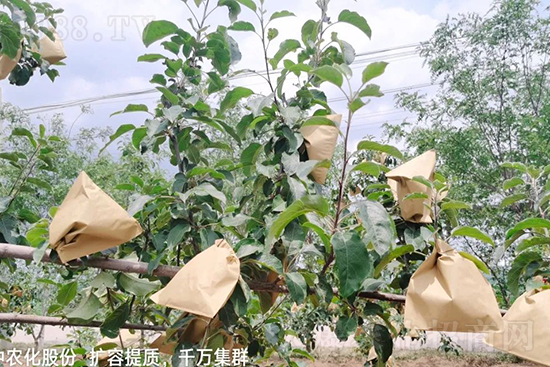     ����(sh��)�״���ɜp���r(n��ng)ˎ���������ƹ��ӵ����^Ʒ�|(zh��)���ɴ����߹�Ʒ�u(m��i)���������׳��۲��u(m��i)���߃r(ji��)�����Թ���(sh��)�״�Ŀǰ��Ȼ���҇�(gu��)���@����Ҫ�����������״��O(p��ng)��������Ǻã�Ҳ�ٲ�����