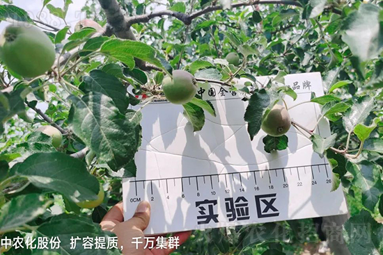     ����(sh��)�״���ɜp���r(n��ng)ˎ���������ƹ��ӵ����^Ʒ�|(zh��)���ɴ����߹�Ʒ�u(m��i)�࣬�����׳��۲��u(m��i)���߃r(ji��)�����Թ���(sh��)�״�Ŀǰ��Ȼ���҇�(gu��)���@����Ҫ�����������״��O(p��ng)��������Ǻ���Ҳ�ٲ�����