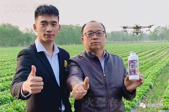 ����׷�ʏ�(f��)�Ϸʺ�߀�����غ����ܶ��˶��e(cu��)�������������_�x��