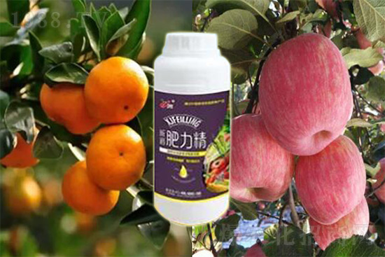 ����׷�ʏ�(f��)�Ϸʺ�߀�����غ����ܶ��˶��e(cu��)�������������_�x��