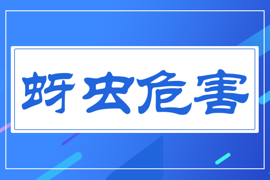 ���x(ch��ng)Σ��