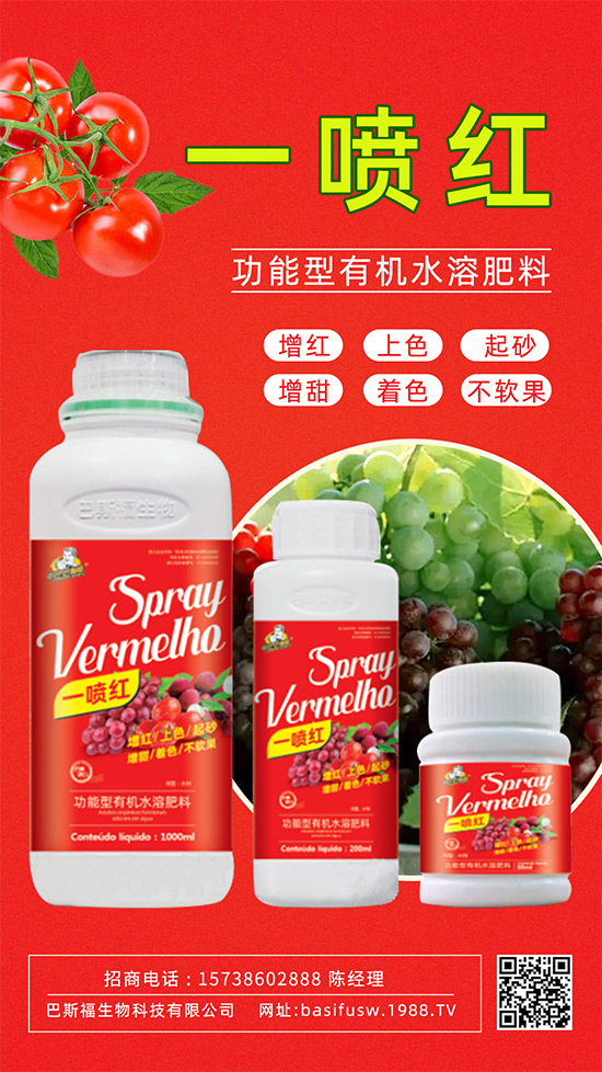 ����(sh��)�D(zhu��n)ɫ����������������������u�r(ji��)������ǰ������