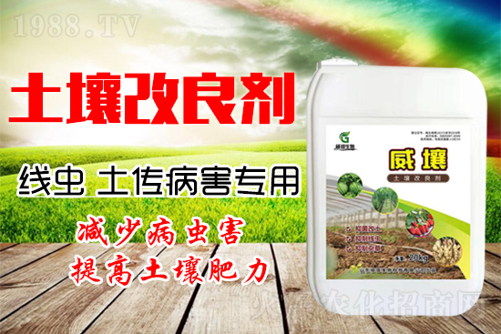 222������Y(ji��)���x������������(y��n)��������һ�з�������