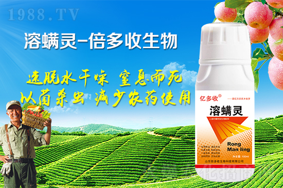 �ļ������~�����l(f��)��ô�k�������~����ԓ���ӷ�����