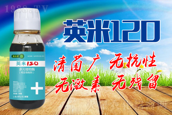 ��轰׷۲��İY����ʲô����轰׷۲����η�����