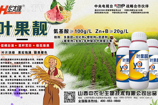     �O������С��ʲôԭ������Q��������Щ��