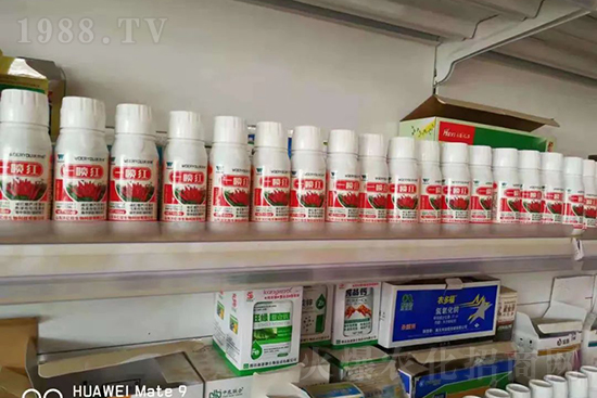 ���t�����95%���߼t�����~�����뷭�׷�����������һ���t��