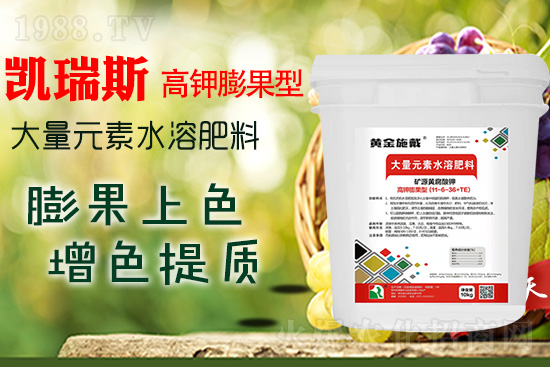     ���M���������ɫ���@���䷽��(zh��n)�]�e���������|(zh��)���a(ch��n)��