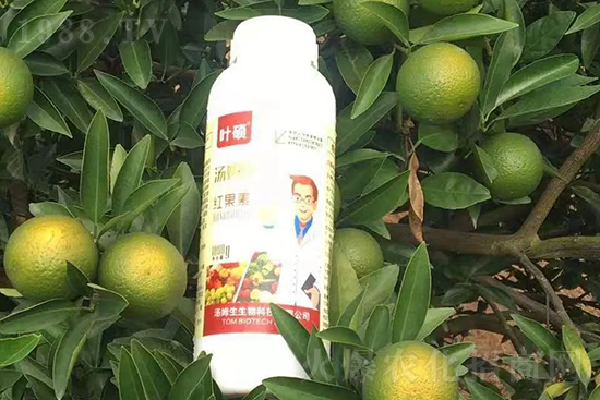 �t���ء�ֻ���D(zhu��n)ɫ�������D(zhu��n)ɫ�����ߣ��߼t���ó���