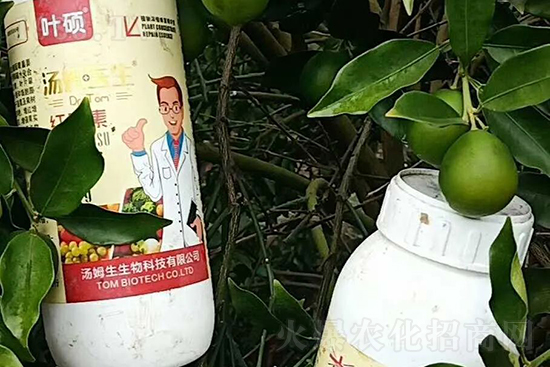 �t���ء�ֻ���D(zhu��n)ɫ�������D(zhu��n)ɫ�����ߣ��߼t���ó���