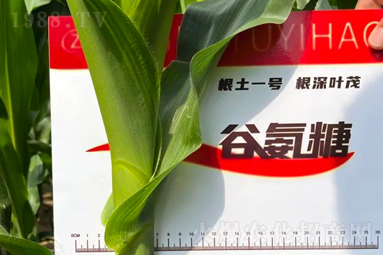 ��Դ������������I(y��ng)�B(y��ng)�a(b��)��ȫ����