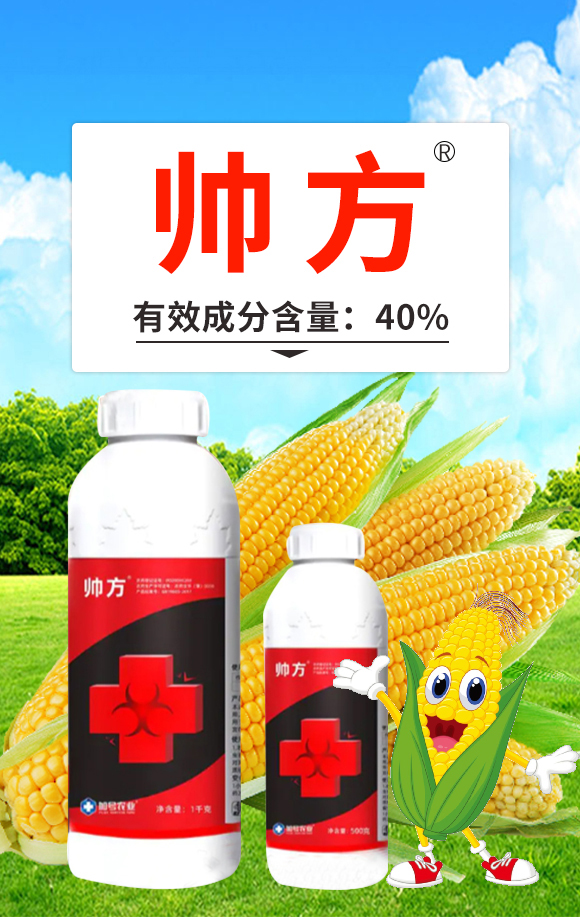 ����-��̖�r(n��ng)�I(y��)_01