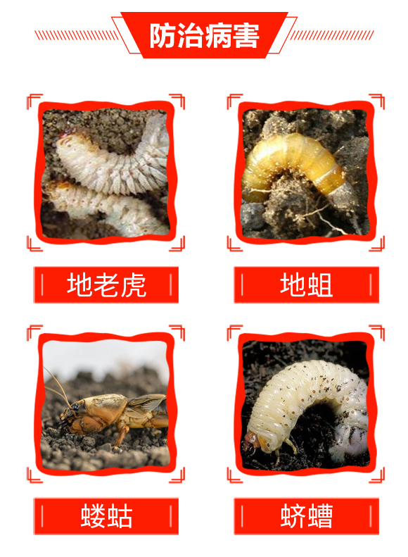 ����-��̖�r(n��ng)�I(y��)_04