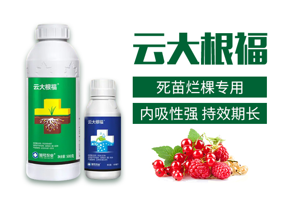 ��̖�r(n��ng)�I(y��)_02