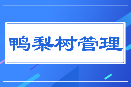 �����(sh��)����