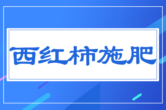 ���t��ʩ��