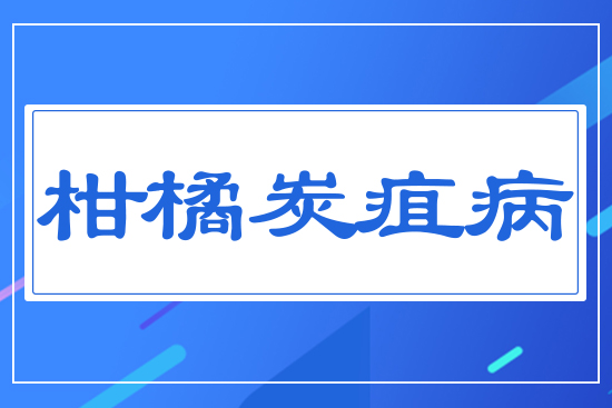 ����̿�Ҳ�