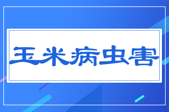 ���x(ch��ng)��