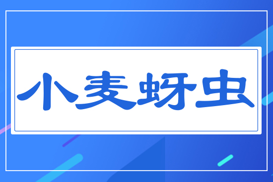 С�����x(ch��ng)