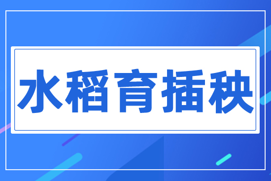 ˮ��������